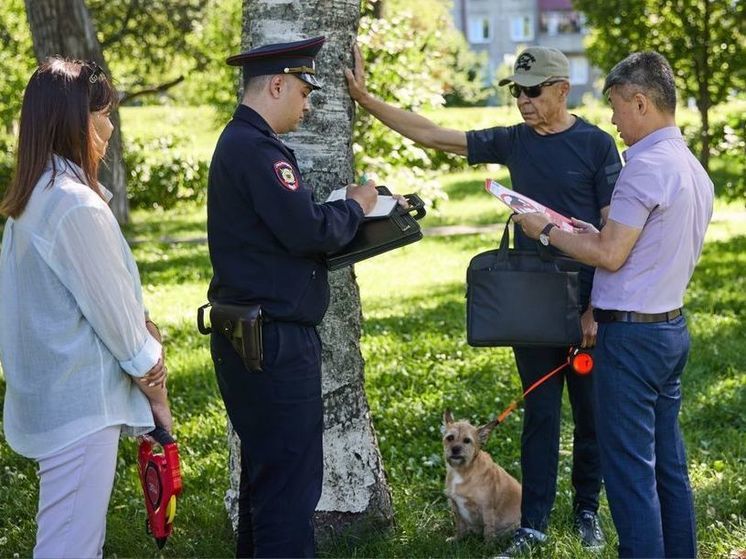 В Южно-Сахалинске с начала года наказали 23 собачников