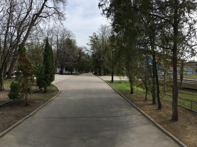Асфальтовые работы вынудили закрыть саратовский сад Липки