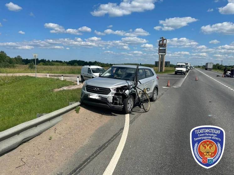 Велосипедист в Кировском районе, чтобы не сбить собаку, сам попал под машину