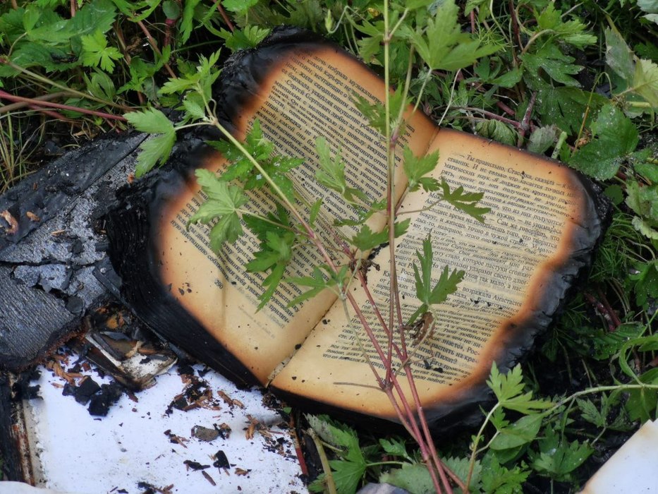 Мощный хлопок газа в селе Тополево едва не унес жизнь пенсионера и повредил несколько квартир: фото с места ЧП