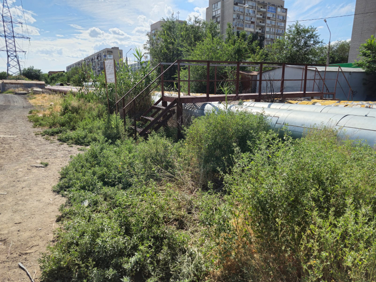 В Астраханской области москвич на охоте случайно выстрелил в голову водителю лодки