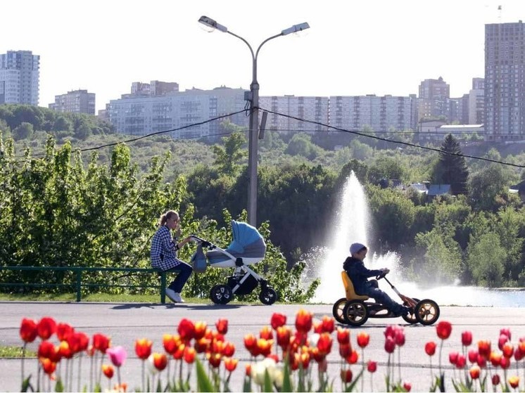 В парке имени Кирова в Стерлитамаке началось благоустройство