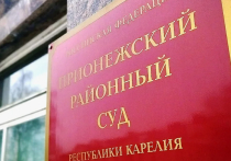 Глава поселения Карелии дала показания в суде по делу о чужом домашнем видео.