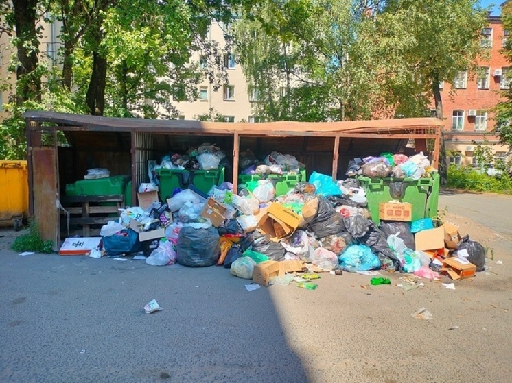 Ярославцы предложили устроить конкурс на самую знатную помойку города