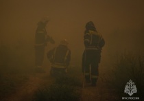 В Астраханской области за последние десять дней было зафиксировано 90 случаев возгорания камыша и сухой растительности, а также 78 пожаров, связанных с сжиганием мусора