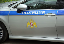 ИА «Агентство журналистских расследований» сообщило, что жительница Санкт-Петербурга обнаружила труп в багажнике своего автомобиля