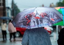 Региональные и муниципальные власти в Челябинской области бросают в бой со стихией все новые и новые силы, тем временем дожди над регионом не утихают. 