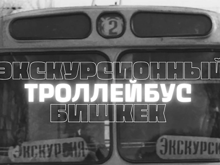 Главной целью данного мероприятия является привлечение внимания к ликвидации троллейбусного движения в городе и недопущение этой фатальной ошибки.