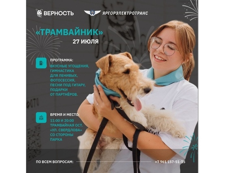В Ярославле пройдёт благотворительный «Трамвайник» в поддержку животных