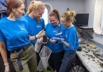 Напомним, что «Научное волонтерство» – инициатива, которая появилось в Архангельске в рамках Десятилетия науки и технологий