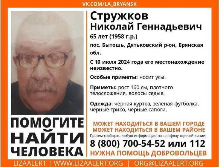 В Брянской области ищут пропавшего 65-летнего Николая Стружкова