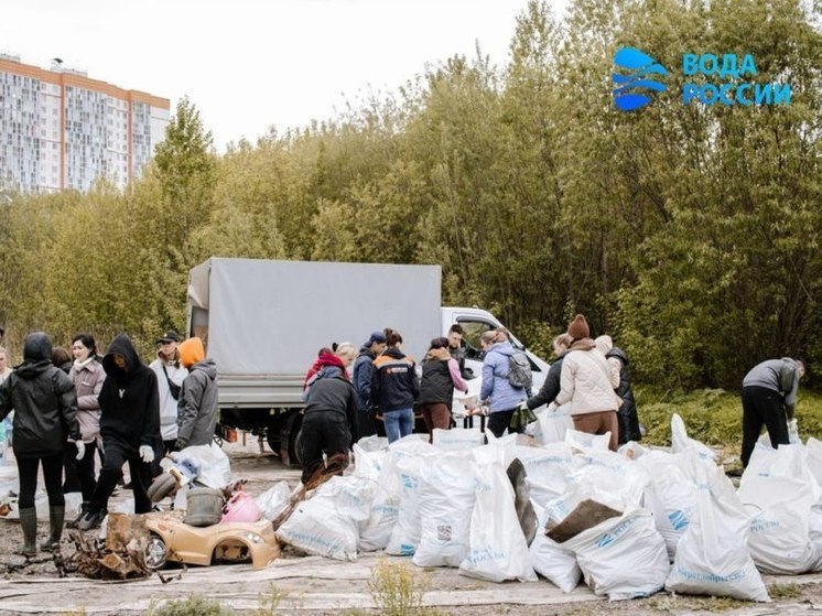 Волонтеры убрали 51 км прибрежной территории в Томской области