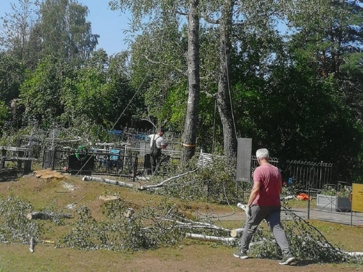 Ремонт братской могилы начали в деревне под Пушкинскими Горами