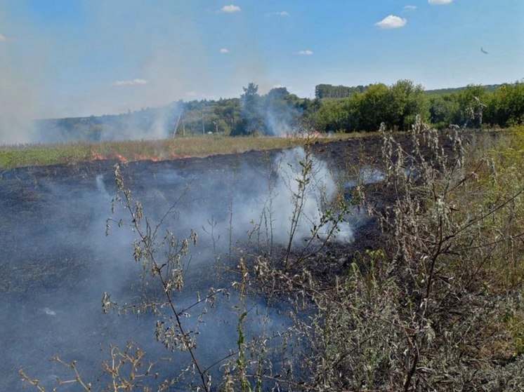 Вражеские БПЛА атаковали Беловский район Курской области