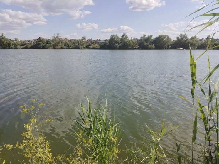 В Корочанском районе Белгородской области очистят два водоема