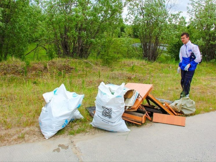За 3 месяца Надымский район очистили от 950 кубов мусора