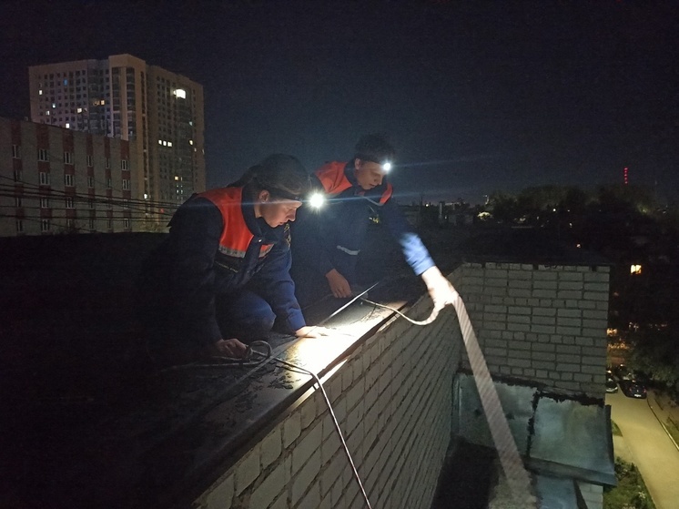В Рязани спасли застрявшего в оконной раме кота