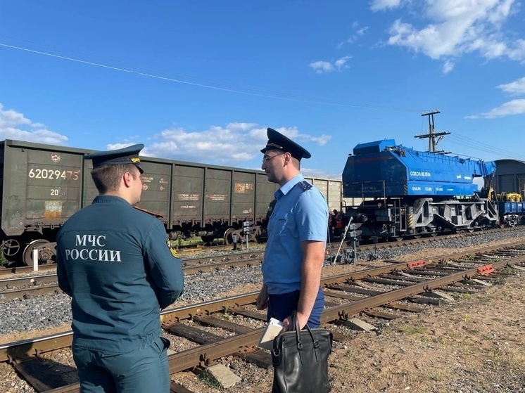 В Архангельске грузовой поезд сошел с рельсов