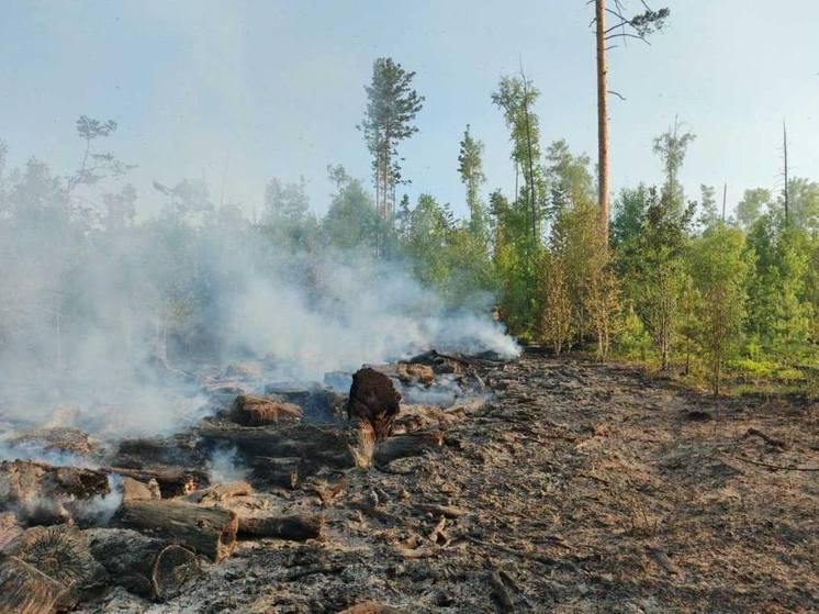 Ещё три лесных пожара ликвидировали в Приангарье