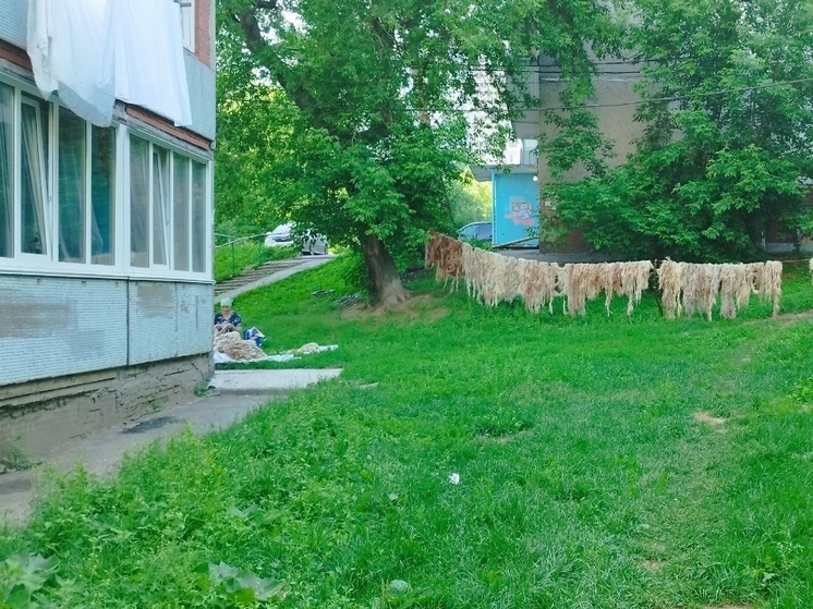 В Новосибирске жители МЖК жалуются на сушку овечьей шерсти прямо во дворах