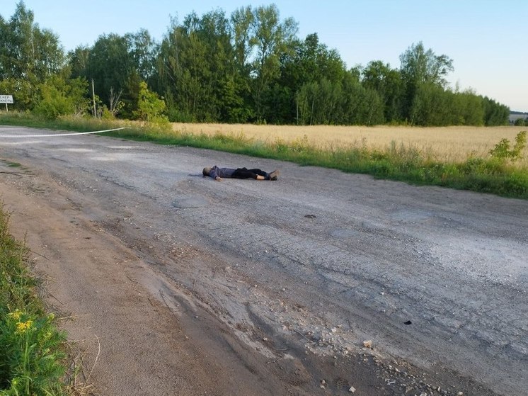 Полиция просит откликнуться очевидцев наезда на пешехода в Козловском округе