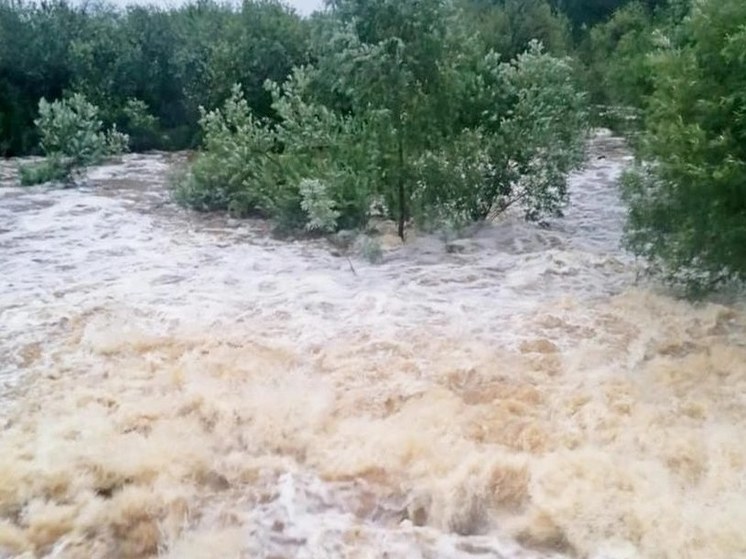 В Учалинском районе Башкирии вода разрушила пять мостов и подтопила деревни