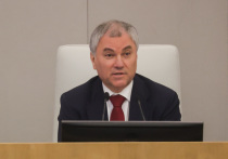 Председатель Государственной думы РФ Вячеслав Володин рассказал о вступающих в силу законах