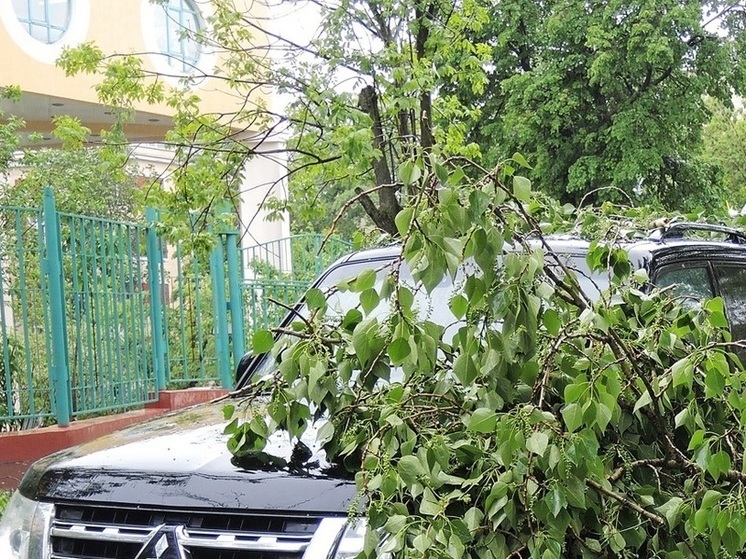 МЧС предупредило жителей Москвы о возможной грозе с ливнем