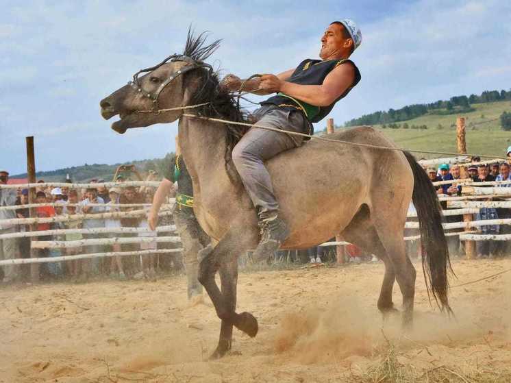 В программу фестиваля лошадей «Башкорт аты» впервые включили хоббихорсинг