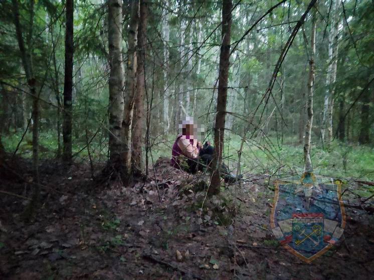 Сегодня завершились поисковые работы в лесу Кировского района