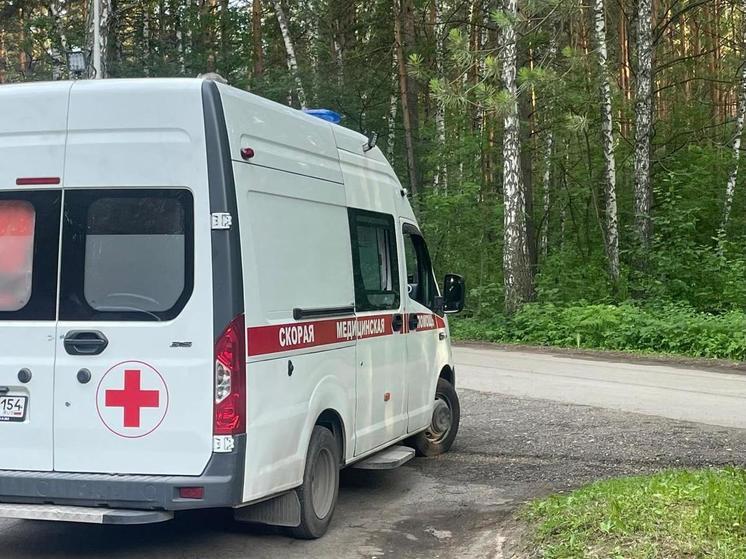 Змея дважды укусила мужчину в Новосибирской области