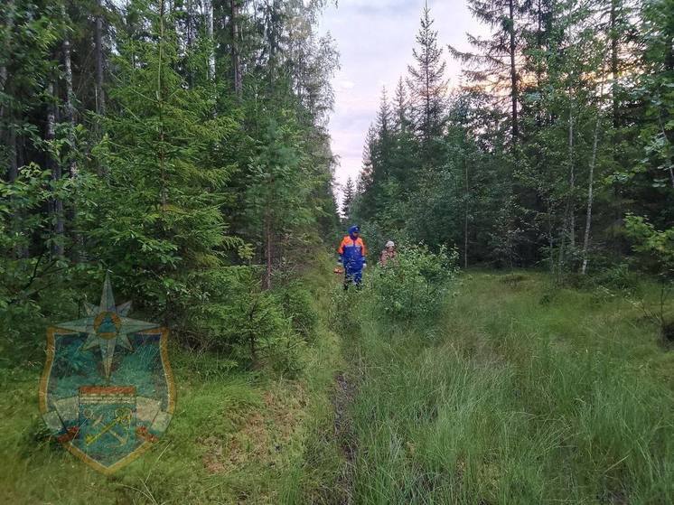 Спасатели помогли туристу в лесном массиве Приозерского района