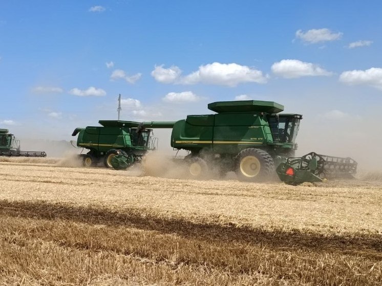 В ДНР убрали ранние зерновые и зернобобовые культуры с площади более 212 тысяч гектаров