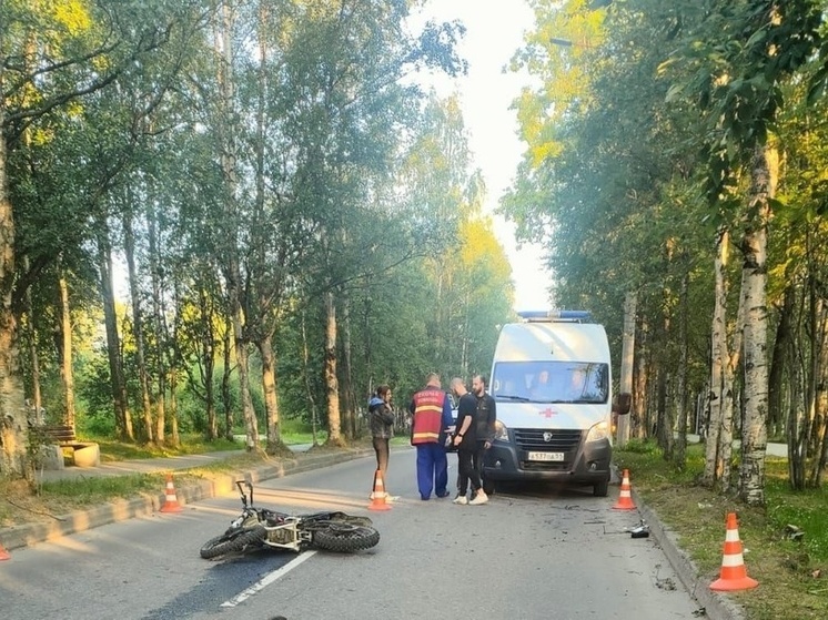 Смертельное ДТП в Кандалакше: мотоциклист врезался в дерево