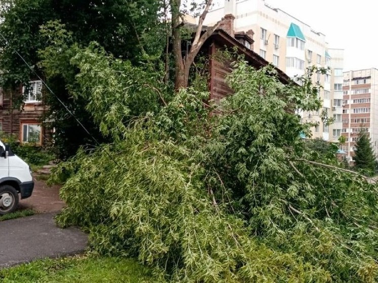В Уфе рядом с упавшим деревом нашли тело 65-летней женщины