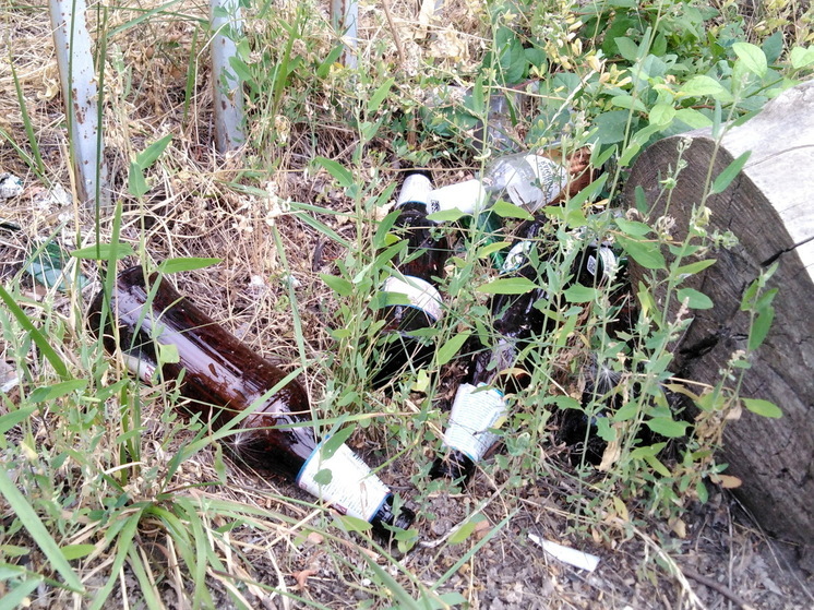 Саратовцы стали реже покупать пиво и налегают на водку
