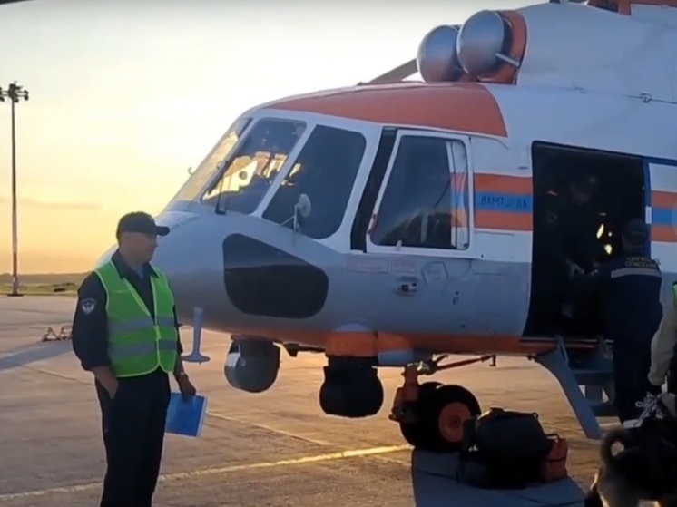 На поиски двухлетней девочки в Плесецкий район вылетел вертолёт МЧС России