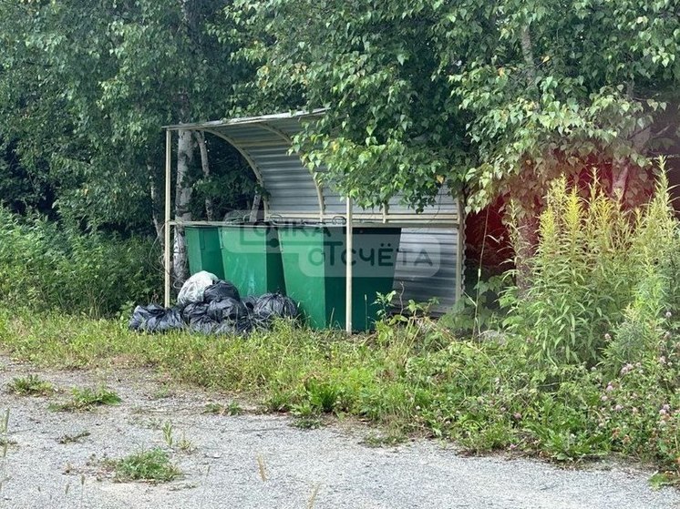 На Сахалине дачница выбросила в мусорных пакетах мертвых собак