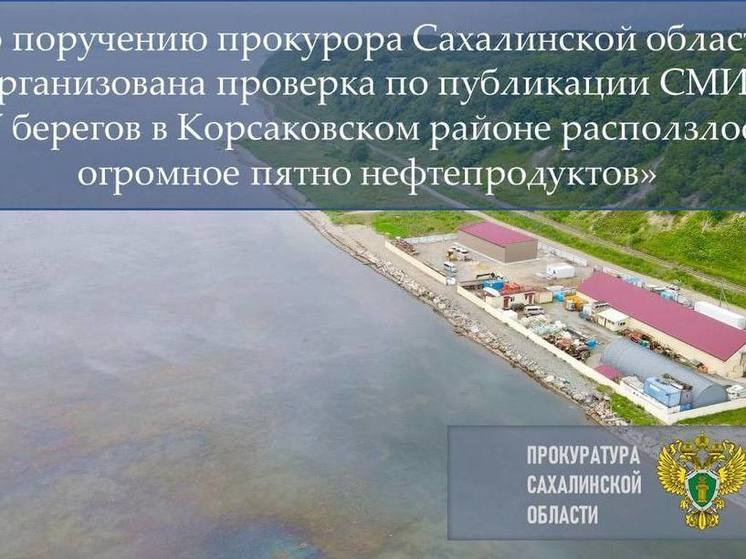 Прокуратура выехала на побережье Сахалина, где нашли нефтяное пятно