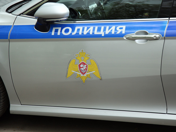 Подозреваемую в краже задержали в подмосковном супермаркете