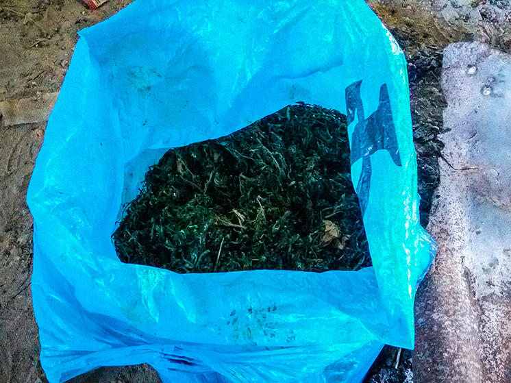 У пензенца обнаружили в доме запрещенное вещество