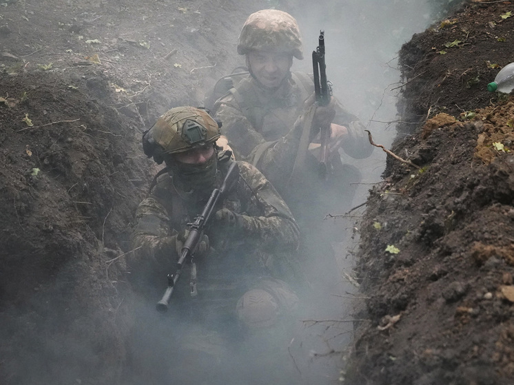  Средний возраст отправленных на убой - 40+