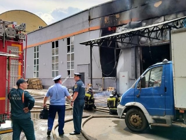 Прокуратура Ярославля проверит пожар на Полушкиной роще.