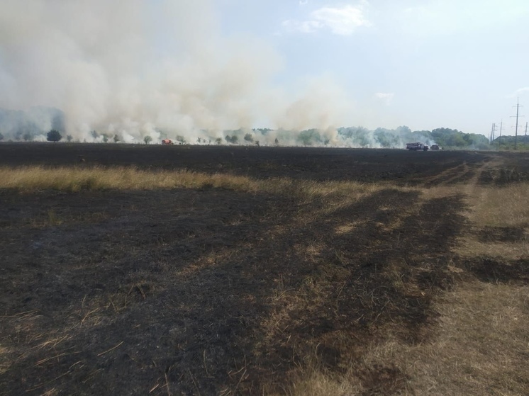 В Горячем Ключе тушат возгорание травы и камыша на площади 350 квадратных метров
