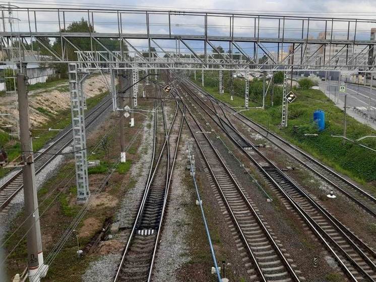 ВСМ Москва — Санкт-Петербург признали самоокупаемым проектом