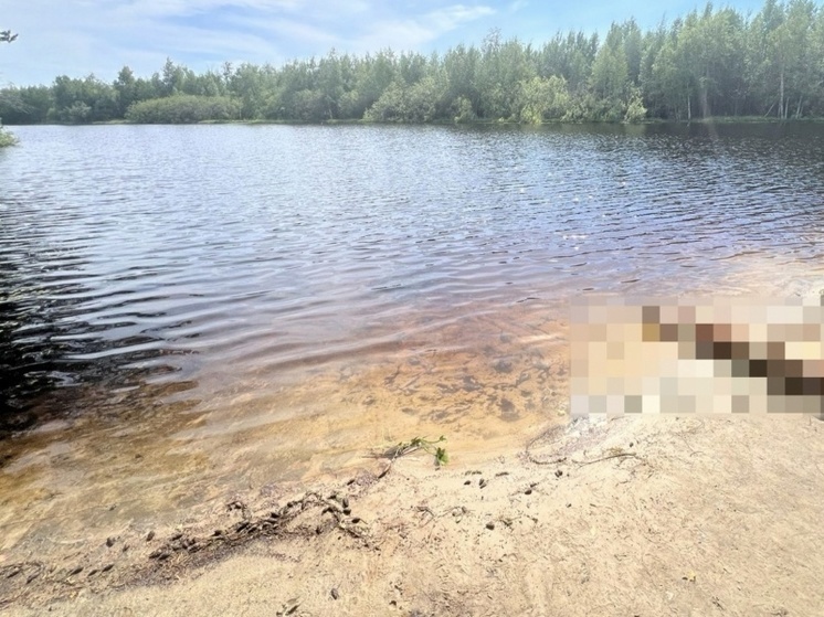 В Сургуте и районе утонули люди