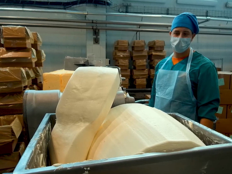 Производством Вологодского масла на данный момент могут заниматься всего семь предприятий