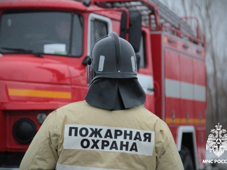 204 раза за неделю новосибирцы обратились к спасателям