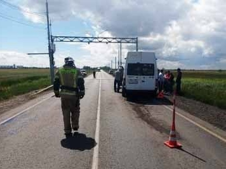 Двое детей пострадали в массовом ДТП с пассажирским автобусом в Омской области