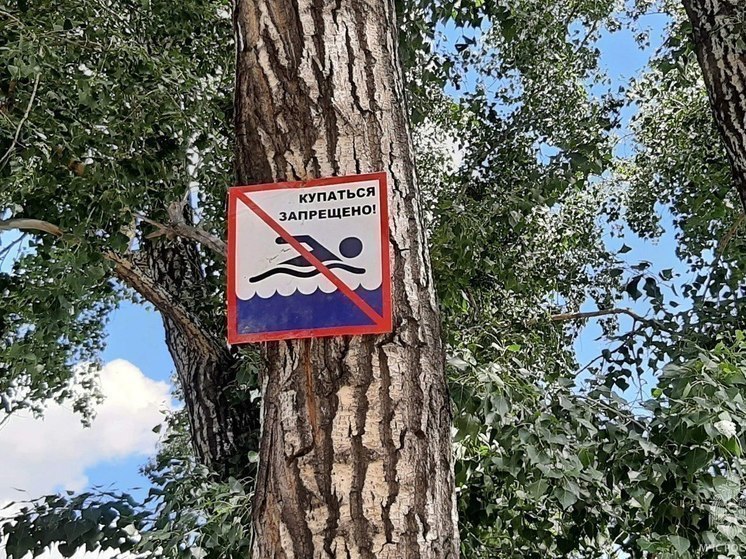 В Алтайском крае во время купания на стихийном пляже утонул мужчина